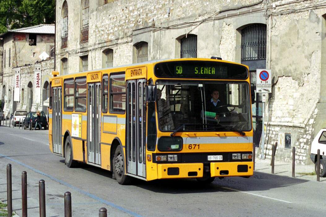 146-scaled-1.jpg