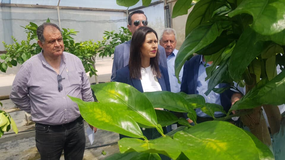 agriculture-minister-nurseries-paphos-960x540.jpg