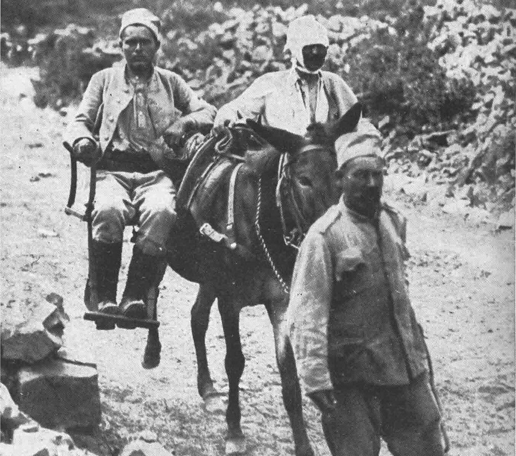 comment-lillie-A-mule-led-by-a-Cypriot-muleteer-transporting-two-wounded-men-during-World-War-I.jpg