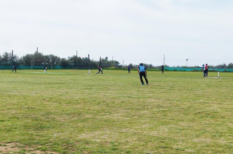 cricket-960x633.jpg