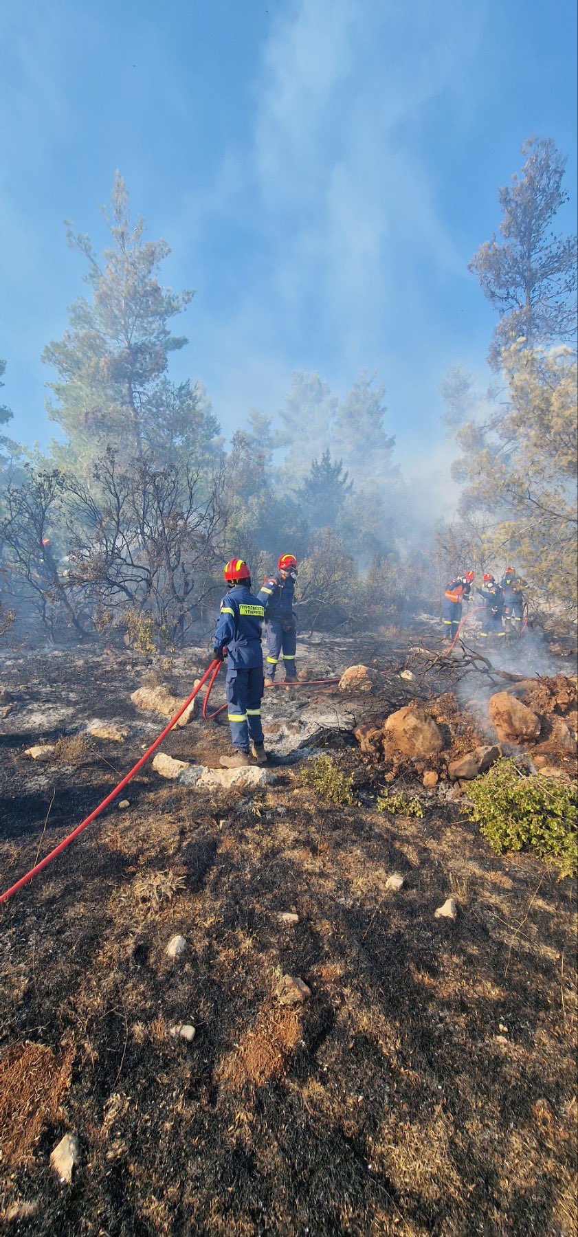 cypriot-firefighters-evros.jpg