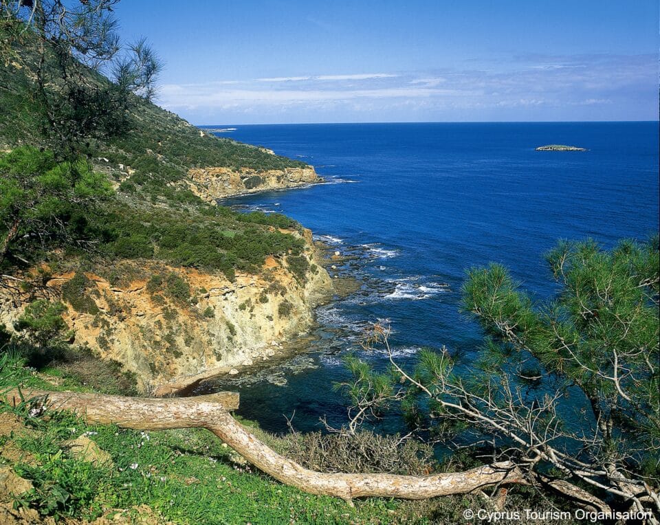 Cyprus_Pafos_Akamas_1_lrg-960x764.jpg