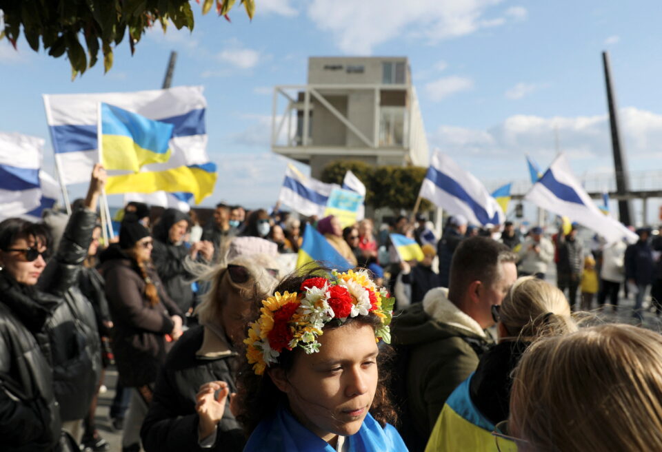demo1-960x656.jpg