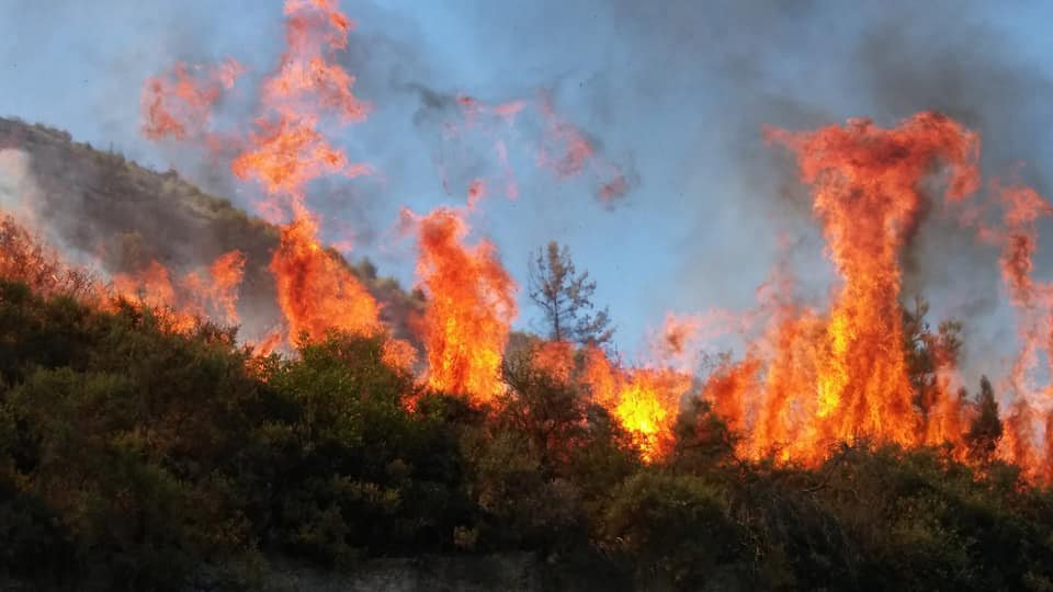 fire-2.jpg