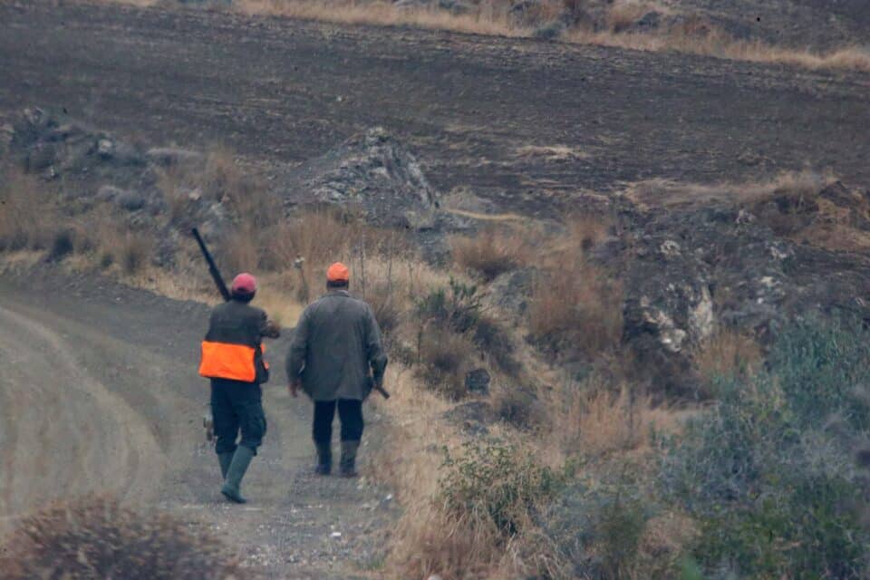 hunting-01-960x640.jpg