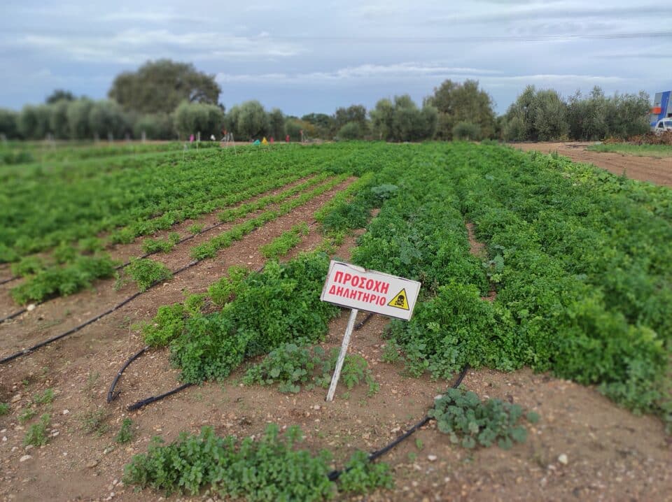 iole-farmers-960x718.jpg