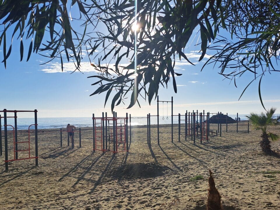 Kallisthenics-Beach-Park-1-960x722.jpg