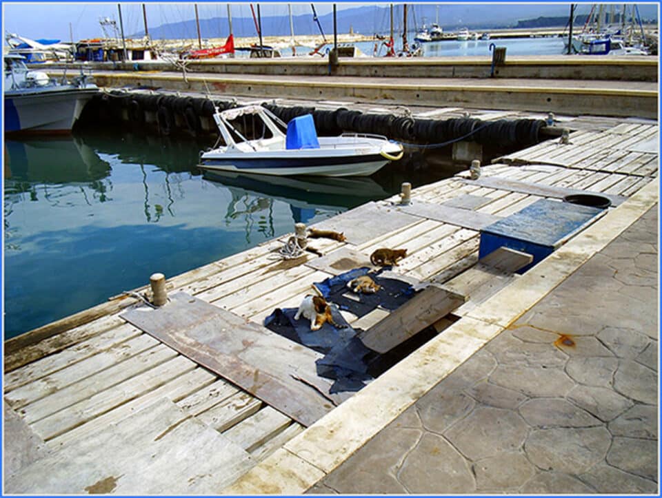 Latchi-port-960x723.jpg