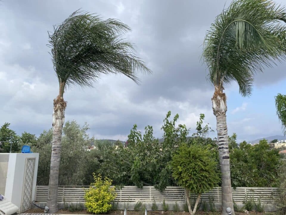 paphos-weather-960x720.jpg