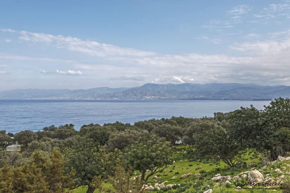 Polis-Chrysochous-bay-by-Albert-Stoecker_1-960x640.jpg