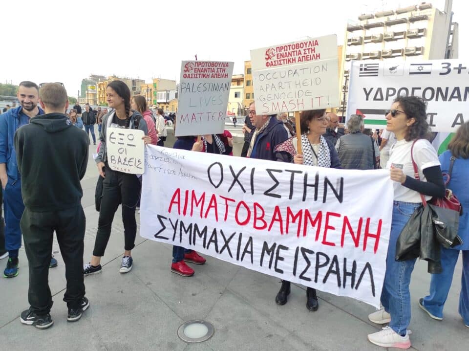 protests-palestine-nicosia-2-960x718.jpg