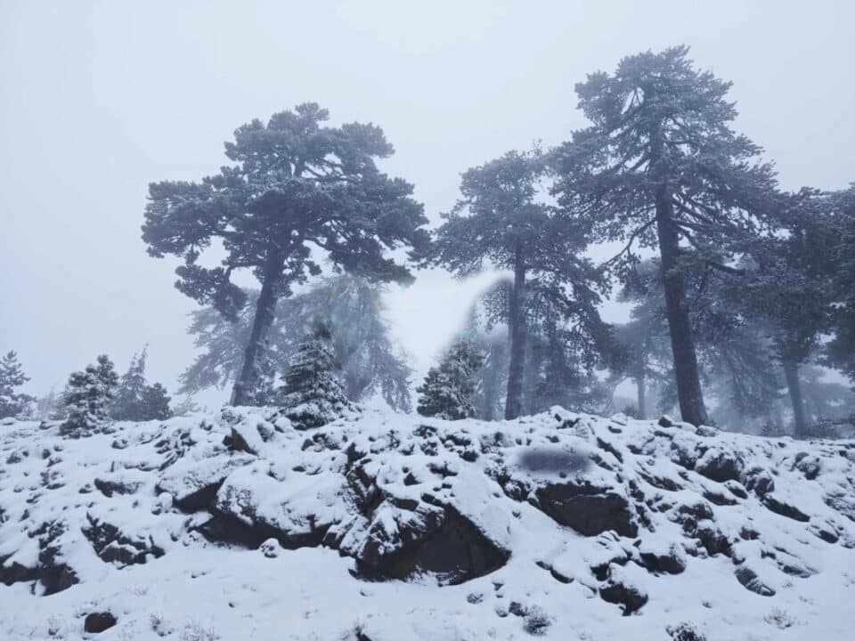 snow2-960x720.jpg
