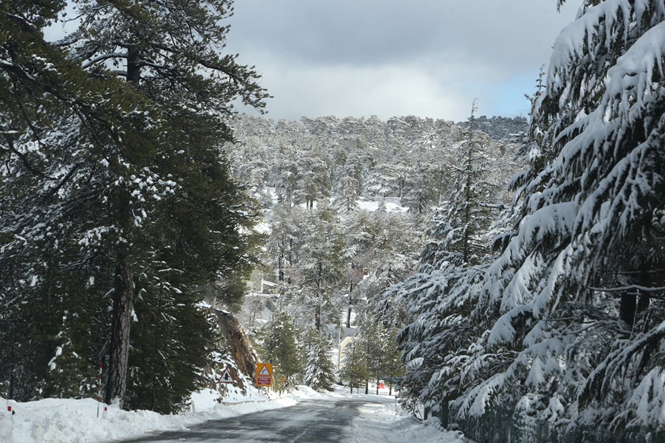 snow4-1.jpg