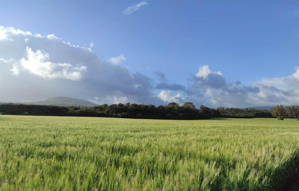 Spring-weather-960x612.jpg