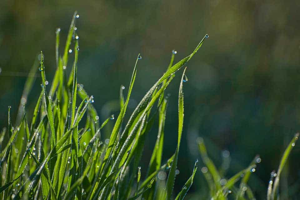 Sunny-and-rainy.jpg