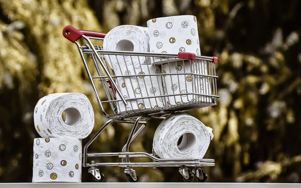 toilet-rolls-960x600.jpg