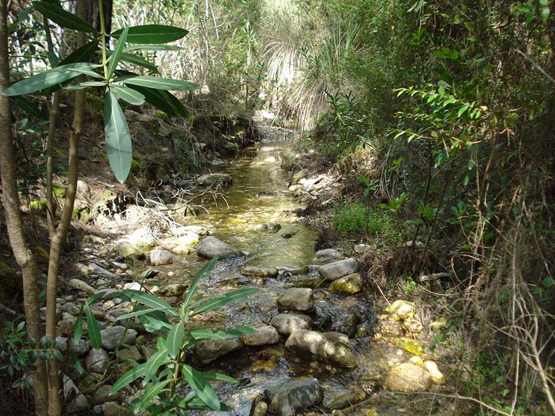 travel-An-Amargeti-Nature-trail.jpg