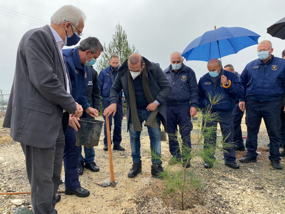tree-planting-960x720.jpg