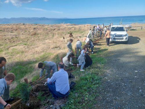 tree-planting.jpg