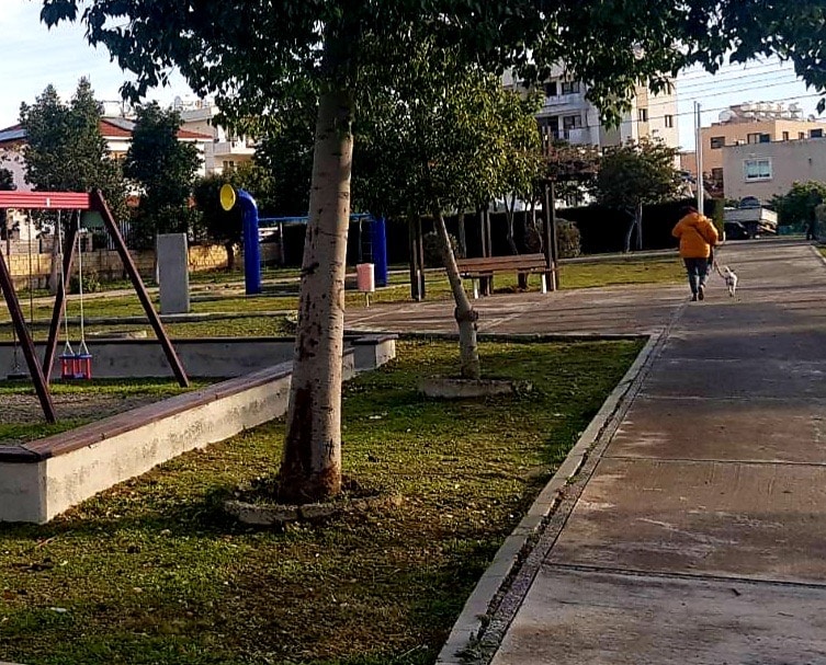 trees.jpg