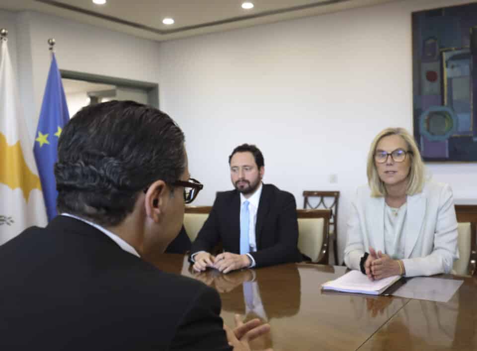UN-Senior-Humanitarian-and-Reconstruction-Coordinator-for-Gaza-Ms-Sigrid-Kaag-960x708.jpg