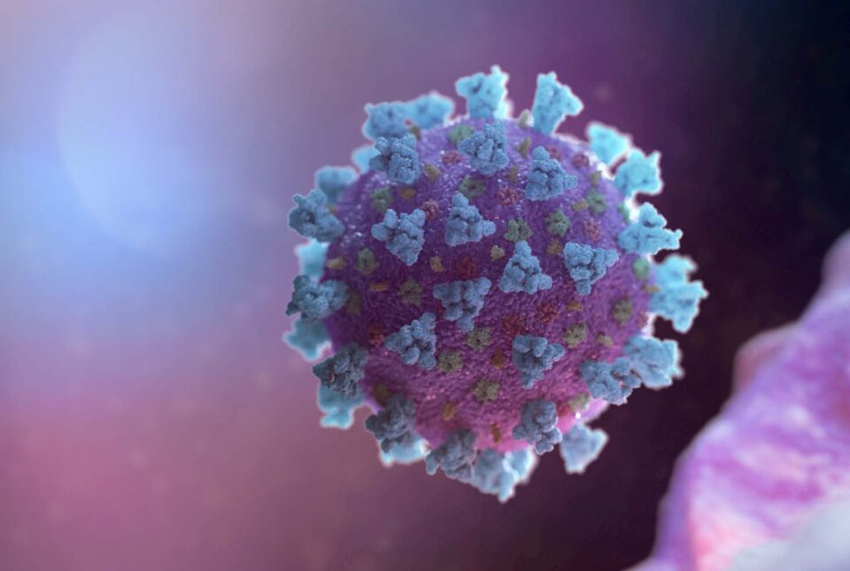 2021-10-28T122538Z_1988993206_RC20JQ99ER0V_RTRMADP_3_HEALTH-CORONAVIRUS-OPTIMUS-PHARMA-MERCK-...jpeg