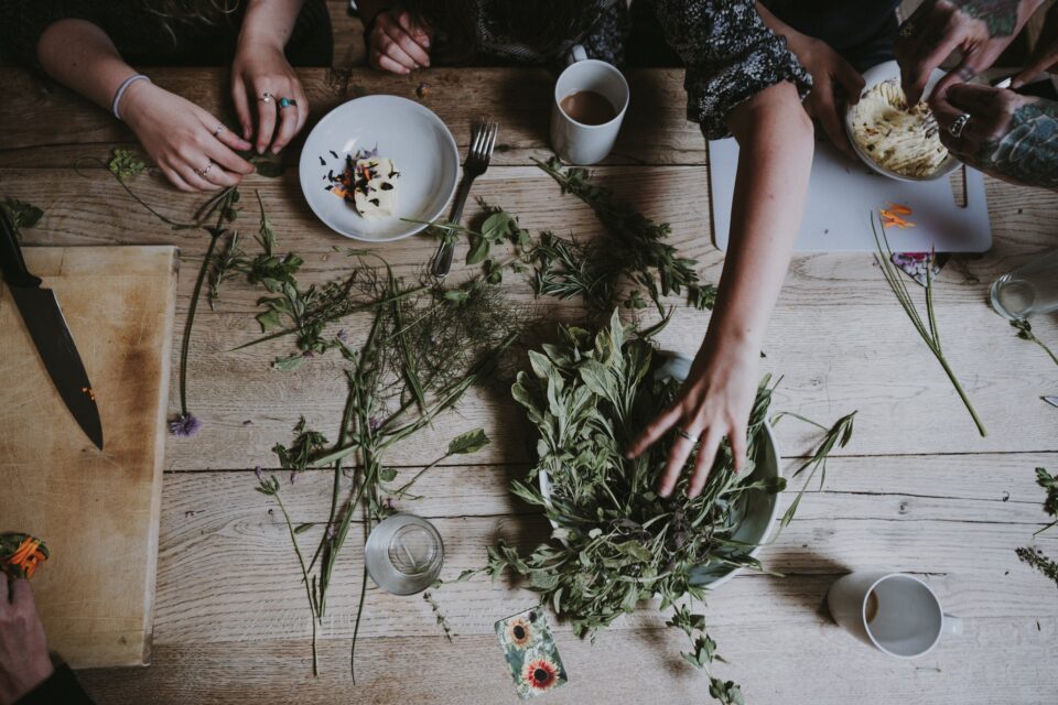annie-spratt-JLpDkdcuceI-unsplash-960x640.jpg
