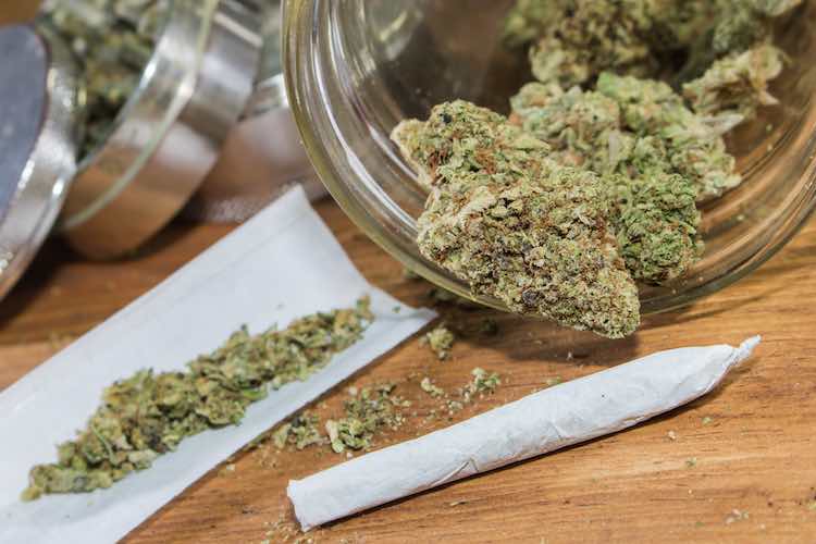 cannabis_use.jpg