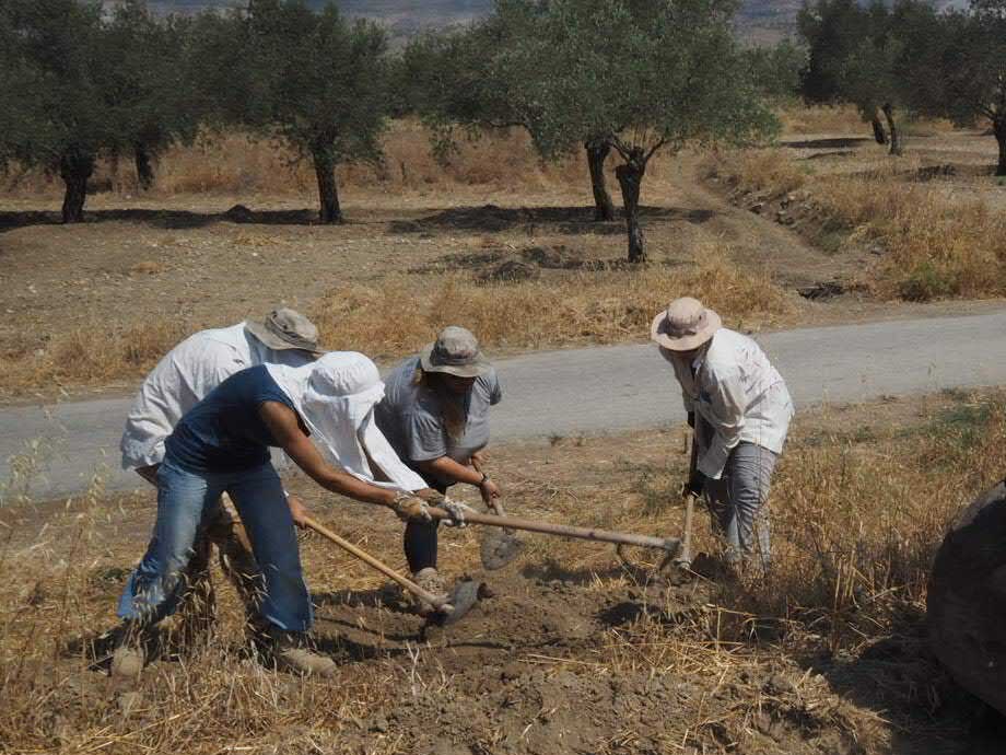CMP-Excavation.jpg