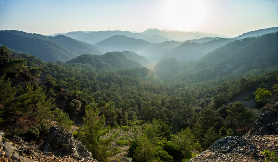 Cyprus-Troodos-Mountains-Stock-mrdenpol-min-960x562.jpg