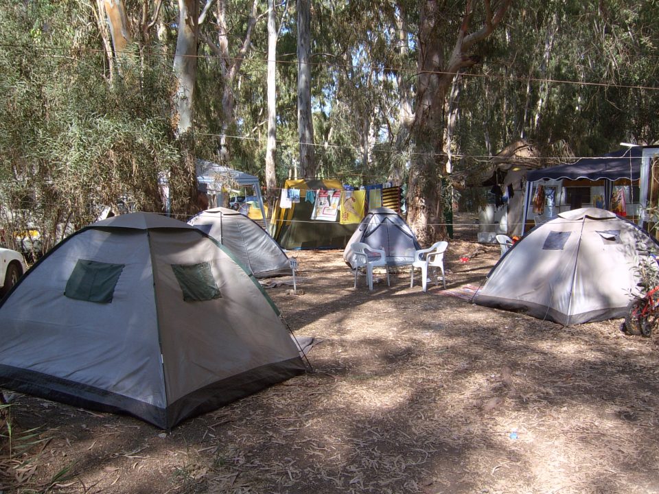 feature-jon-Polis-campsite-is-busier-than-ever-this-year-960x720.jpg