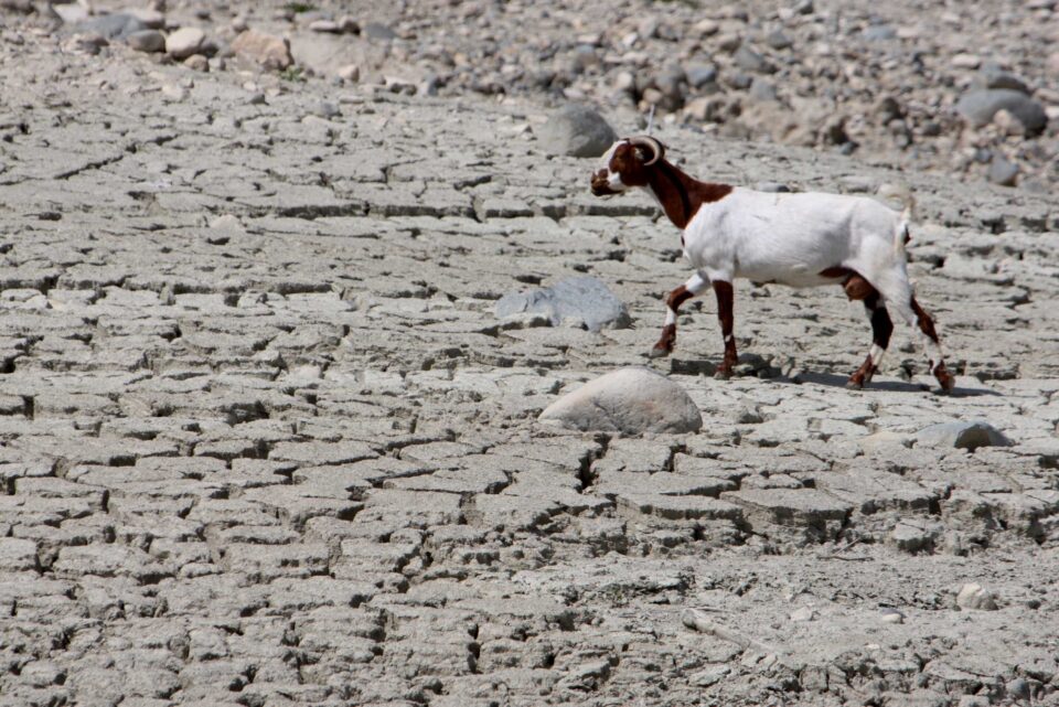 feature-sarah-Kouris-dam-during-the-drought-of-2008-960x641.jpg