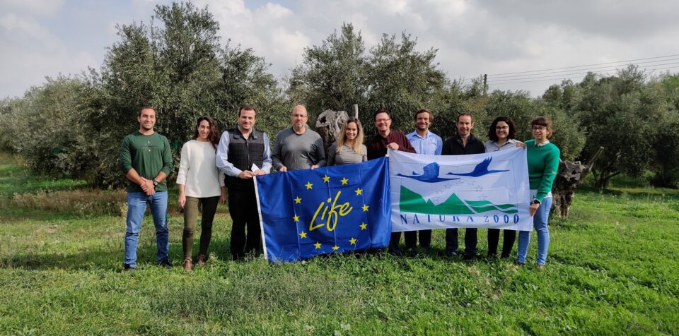 feature-vultures-The-LIFE-with-Vultures-Project-Team-during-the-kick-off-meeting-in-Cyprus-Bir...jpg