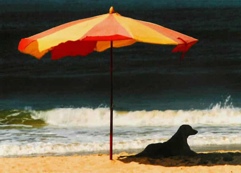 heatwave-1.jpg