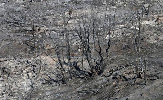 Limassol-fire.jpg