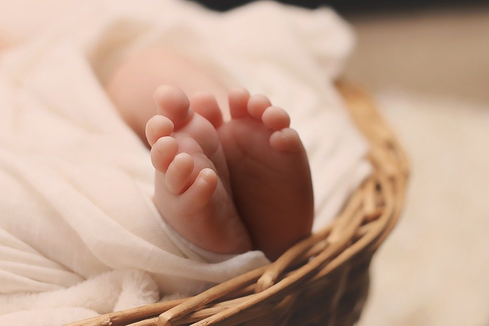 newborn-1399155_960_720.jpg