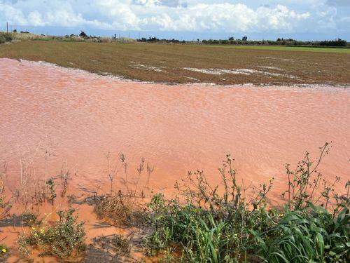 potato-crops-damaged.jpg