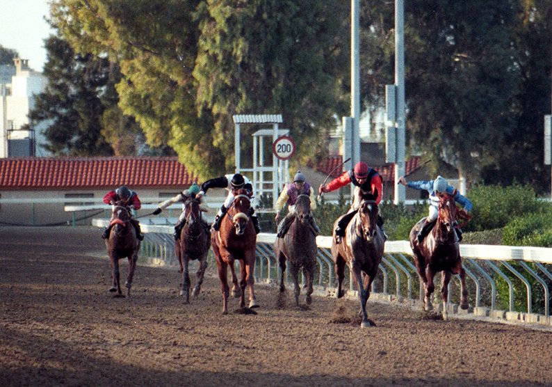 racing-horse.jpg