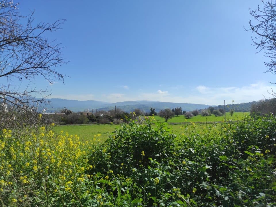 Spring-2-960x718.jpg
