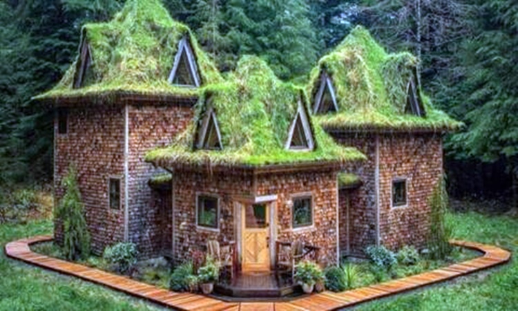 The-Castle-Cabin.jpg