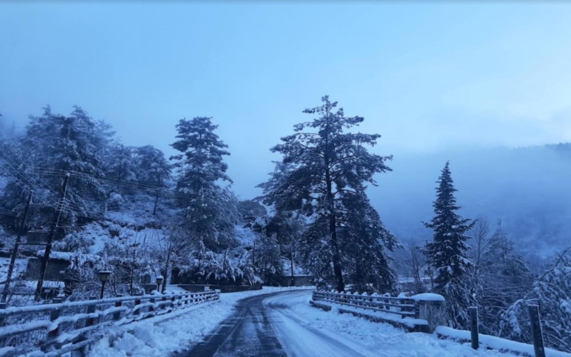 troodos-30.01.jpg
