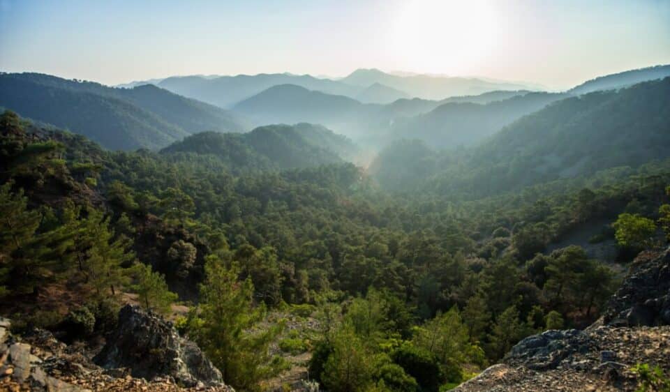 Troodos-clear-day-some-mist-960x562.jpg