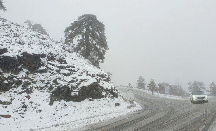 troodos19126.jpg