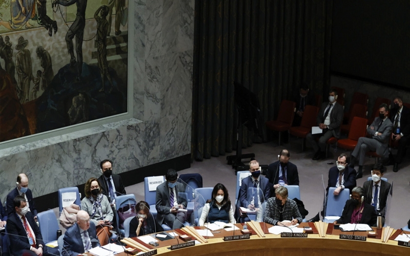 un-council-ape.jpg