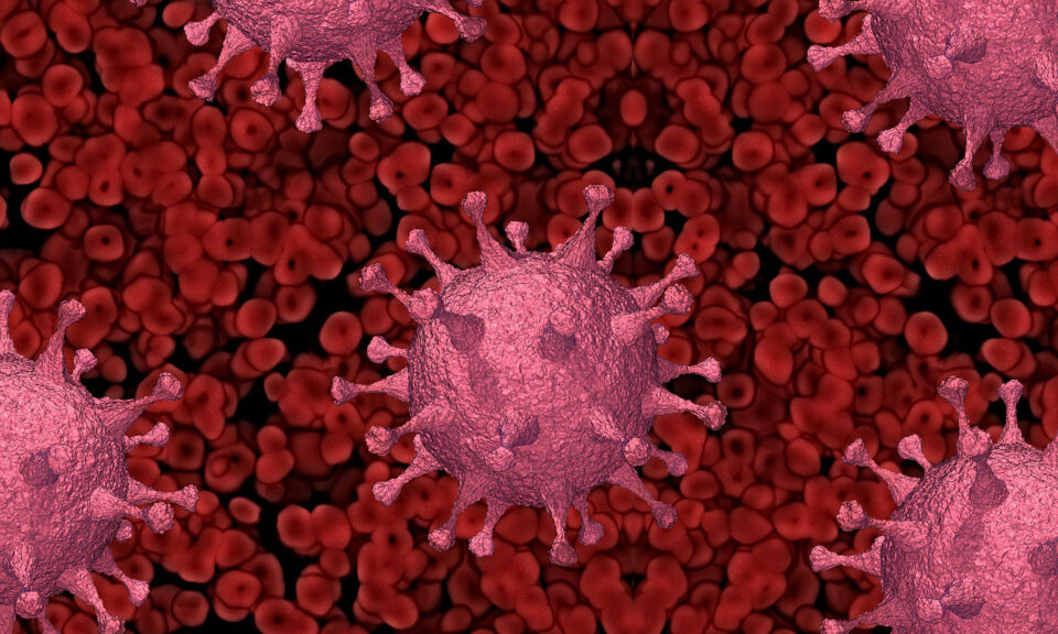 virus-5939842_1280-960x576.jpg