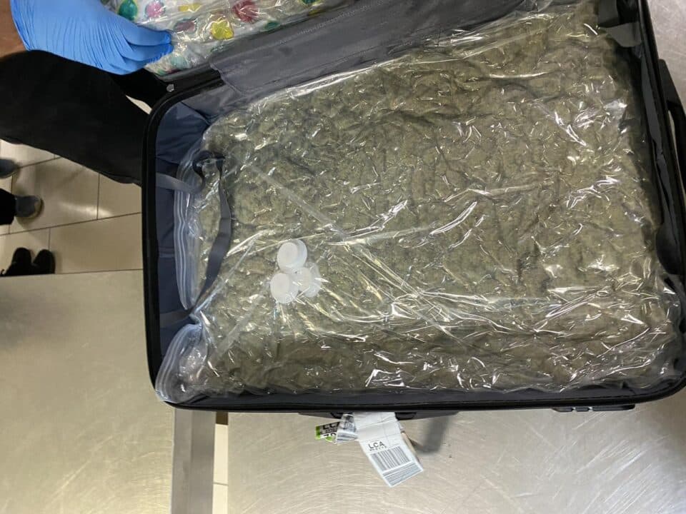 weed-960x720.jpg