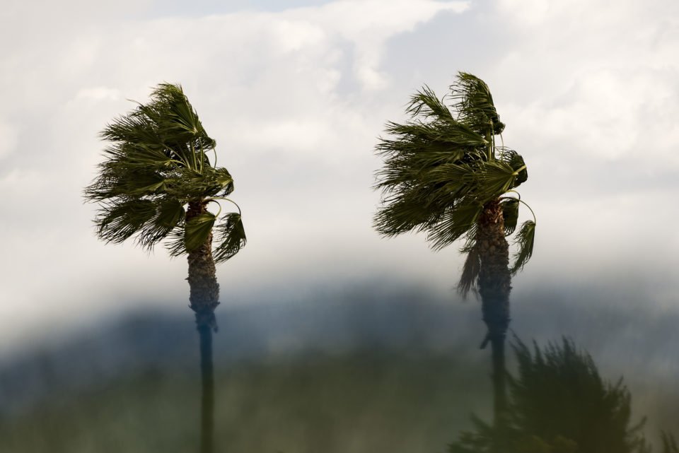 winds-960x641.jpg