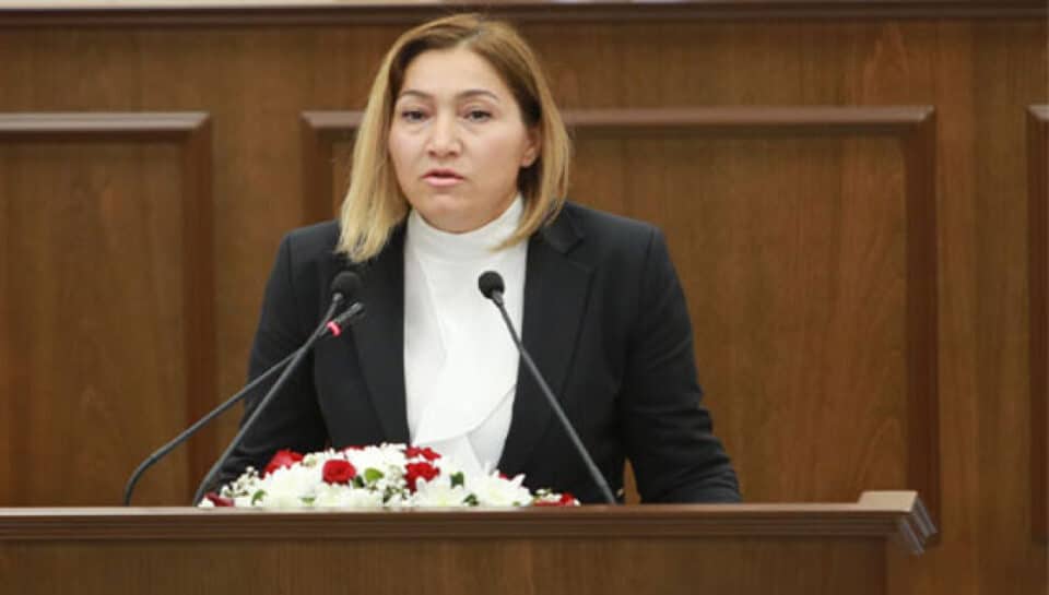 yasemin-ozturk-anti-jewish-turkish-cypriot-mp-960x545.jpg