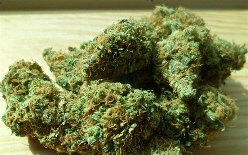 cannabis-448661_1280-2.jpg