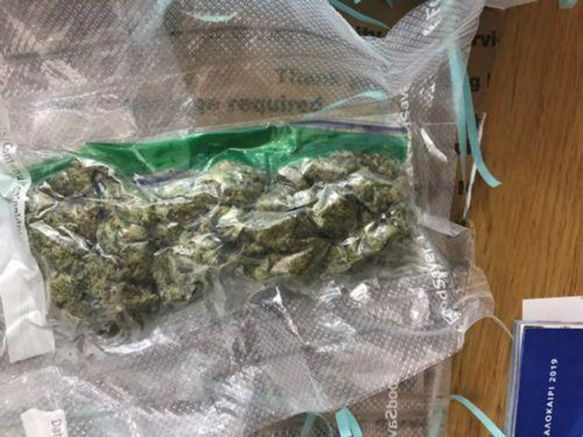cannabis-big.jpg